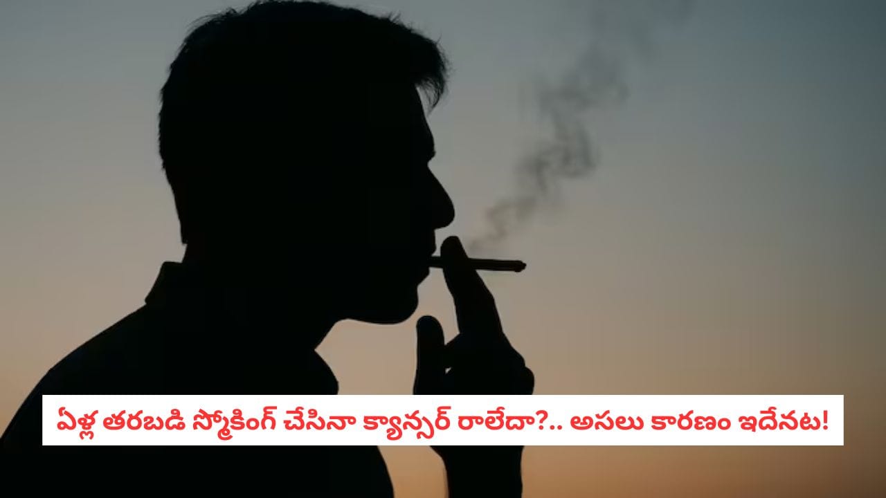 Lung Cancer Risk: స్మోకర్లు అయినా కొందరికి క్యాన్సర్ రాదెందుకు?.. పొగ తాగని వారిలోనూ లంగ్ క్యాన్సర్ ఎందుకు వస్తుంది?