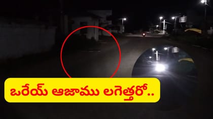 రాత్రివేళ నడిరోడ్డుపై వింత ఆకారం.. దగ్గరికెళ్లగా గుండె ఆగినంతపనైం