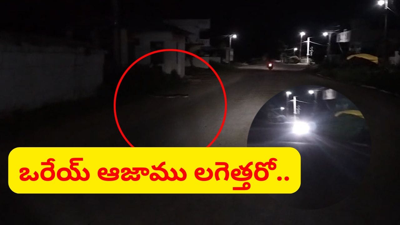 రాత్రివేళ నడిరోడ్డుపై వింత ఆకారం.. దగ్గరికెళ్లగా గుండె ఆగినంతపనైంది.. వామ్మో