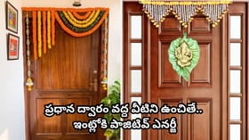ఇంట్లో నెగెటివ్ ఎనర్జీ పోవాలంటే.. ఇంటి గుమ్మం దగ్గర వీటిని ఉంచండి
