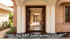 వాస్తు ప్రకారం ఇంటి గడప ఎందుకు ముఖ్యమైనది? ప్రధాన ద్వారం వద్ద..