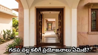 Vastu Tips: ఇంటి గడప ఎందుకు అంత ముఖ్యమైనది? ప్రధాన ద్వారం వద్ద ఈ 5 తప్పులు చేస్తే వాస్తు దోషమే!