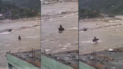 నేపాల్‌ వరదల్లో అద్భుతం.. దేవదూతల మారిన దున్నపోతు!