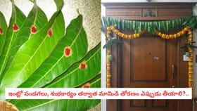 ఇంట్లో పండగలు, శుభకార్యం తర్వాత మామిడి తోరణం ఎప్పుడు తీయాలి?..