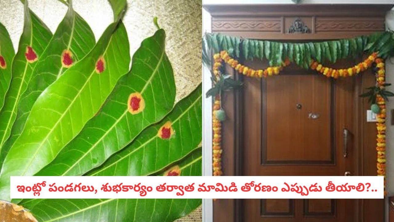 Vastu Tips: వామ్మో.. గుమ్మానికి కట్టిన మామిడి తోరణం ఎండిపోయినా అలాగే ఉంచుతున్నారా?.. తప్పక తెలుసుకోండి!