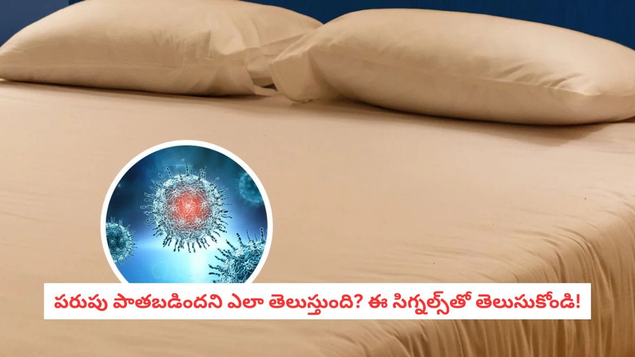 Mattress Cleaning Tips: ఏళ్లుగా అదే పరుపుపై పడుకుంటున్నారా? ఈ సంకేతాలు కనిపిస్తే మార్చేయండి!