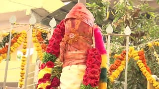 ఎట్టకేలకు మేడారంలో జువ్వి చెట్టు.. దశాబ్దాల చరిత్రకు ప్రతీక..! 20 ఏళ్ల వృక్షాన్ని ఎలా నాటరంటే..