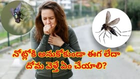 సడెన్‌గా మీ నోట్లోకి ఈగ, దోమలాంటిది దూరిందా? టెన్షన్‌ పడకుండా ఇలా