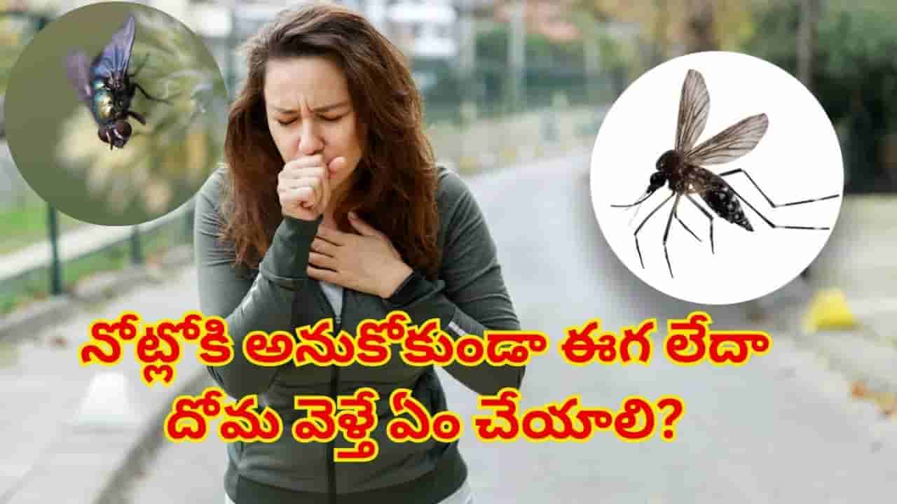 సడెన్గా మీ నోట్లోకి ఈగ, దోమలాంటిది దూరిందా..? టెన్షన్ పడకుండా ఇలా చేయండి! డాక్టర్ల సూచనలు ఇవే..