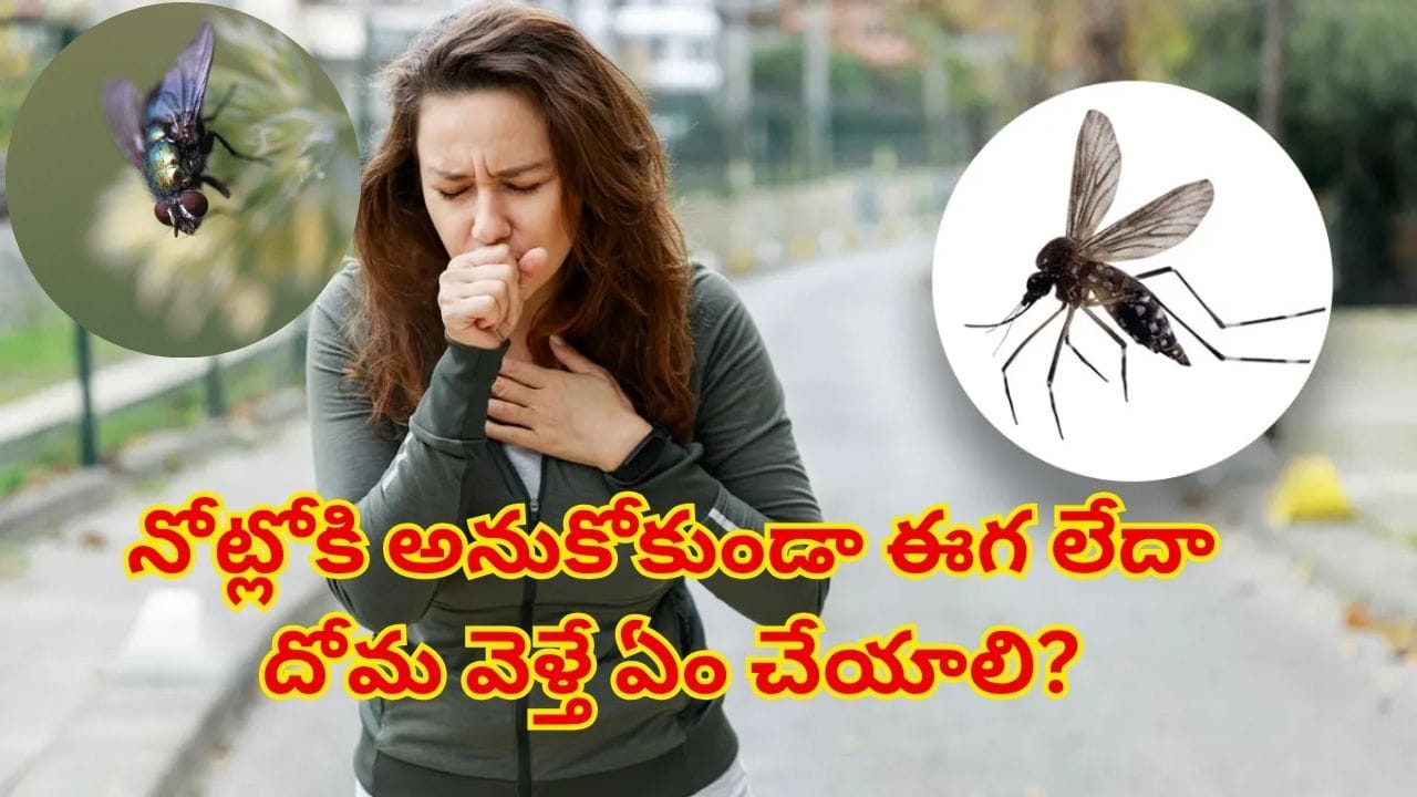 సడెన్గా మీ నోట్లోకి ఈగ, దోమలాంటిది దూరిందా..? టెన్షన్ పడకుండా ఇలా చేయండి! డాక్టర్ల సూచనలు ఇవే..