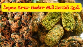 దీన్ని మించిన స్నాక్స్ మరేది లేదు.. ఆరోగ్యంతోపాటు టేస్ట్‌