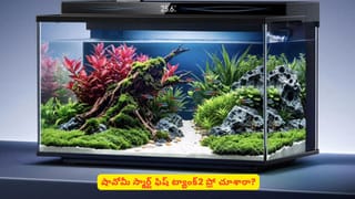 షావోమీ నుంచి దీనిని అసలు ఊహించి ఉండరు! అదేంటో తెలిస్తే నిజంగా షాకైపోతారు