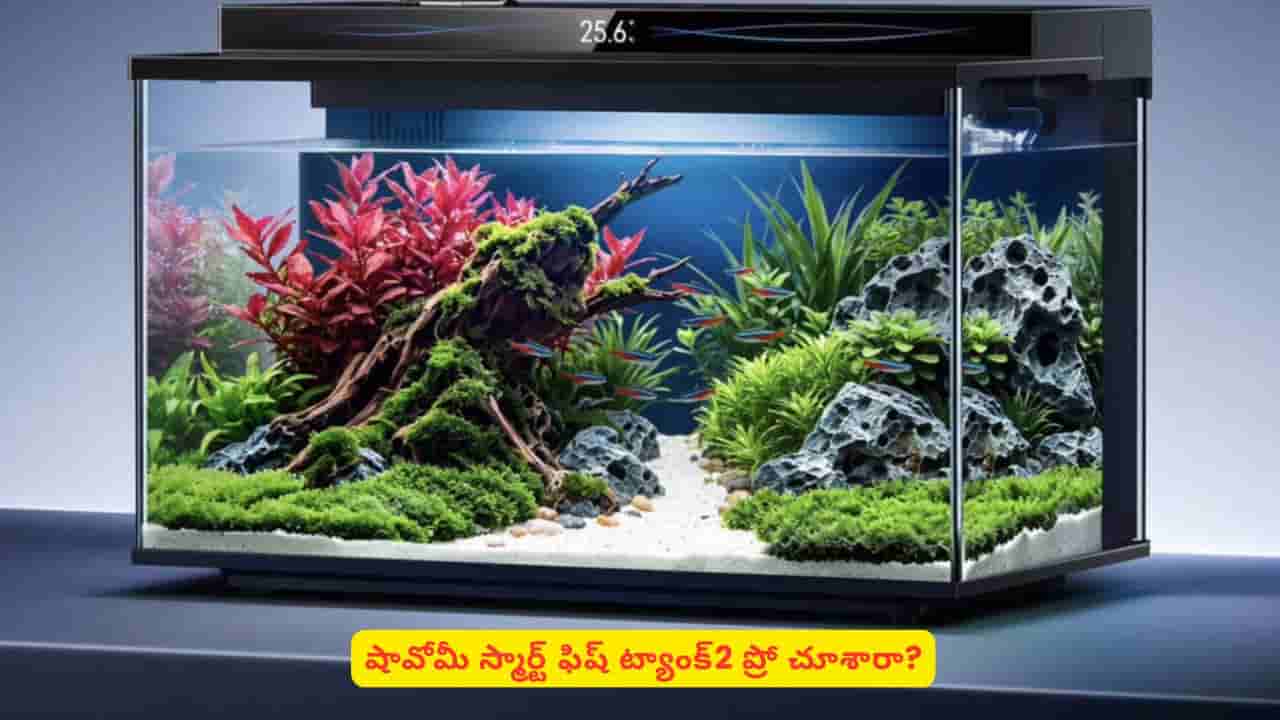 షావోమీ నుంచి దీనిని అసలు ఊహించి ఉండరు! అదేంటో తెలిస్తే నిజంగా షాకైపోతారు