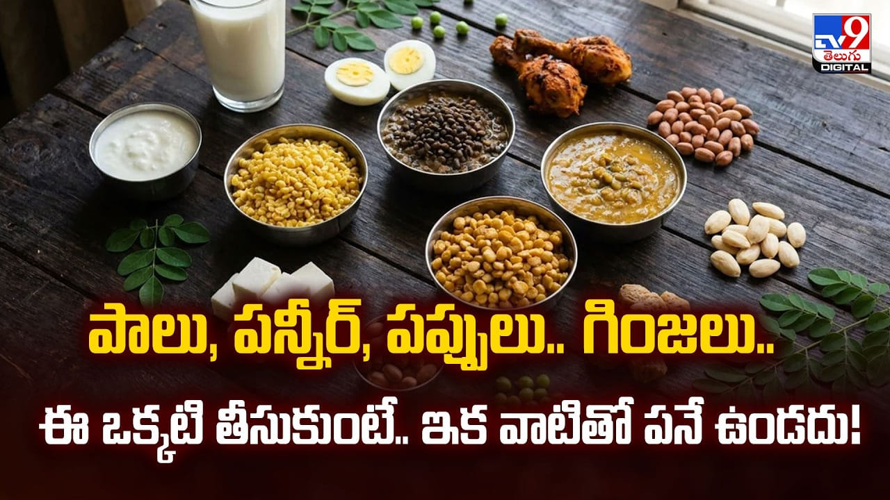 పాలు, పన్నీర్, పప్పులు.. గింజలు.. ఈ ఒక్కటి తీసుకుంటే.. ఇక వాటితో పనే ఉండదు! పాలు, పన్నీర్, పప్పులు.. గింజలు.. ఈ ఒక్కటి తీసుకుంటే.. ఇక వాటితో పనే ఉండదు!