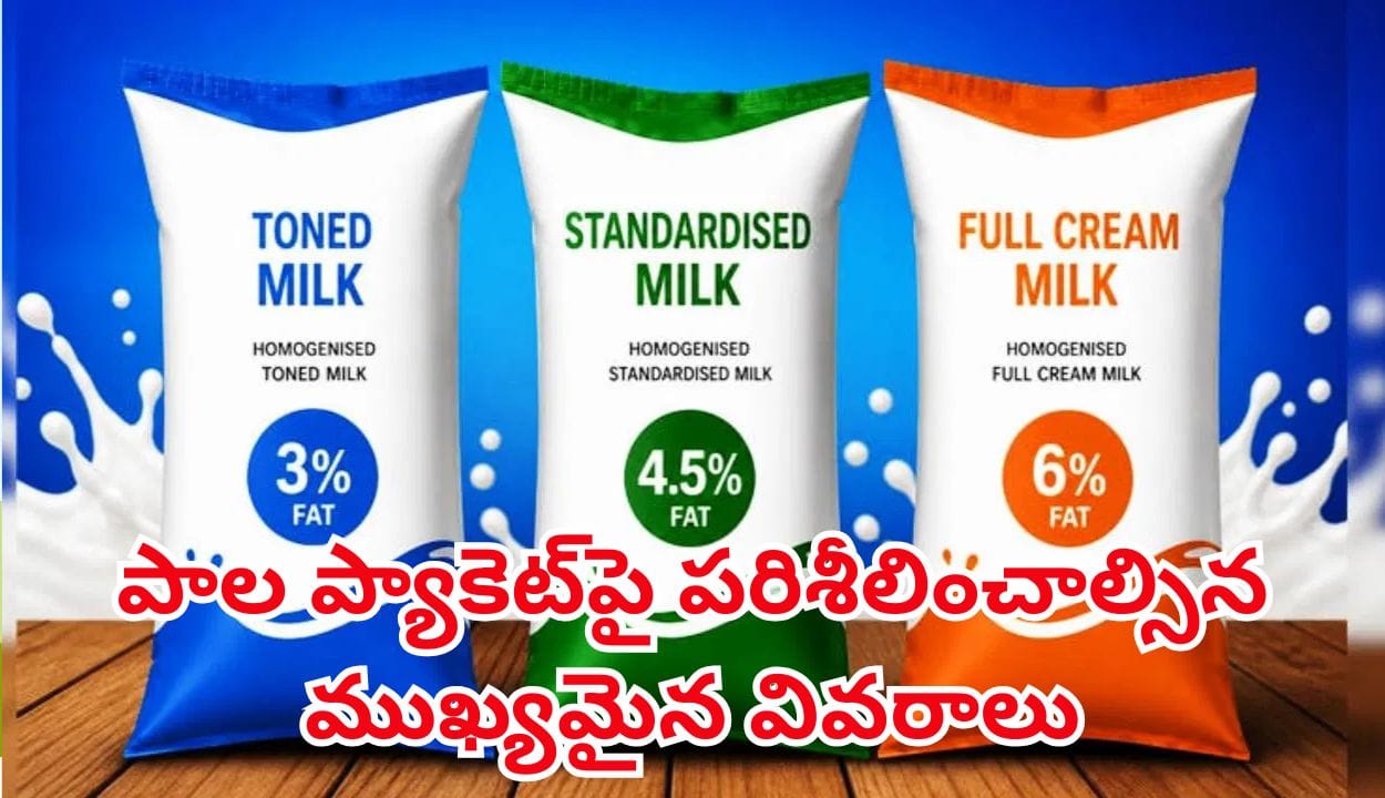 పాల ప్యాకెట్పై కేవలం ఎక్స్పైరీ డేట్ మాత్రమే చూస్తున్నారా? ఈ 4 వివరాలు తప్పక తెలుసుకోండి!