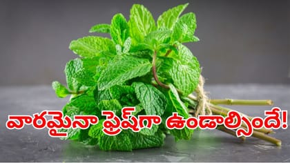 ఇలా స్టోర్ చేస్తే పుదీనా నెలైనా ఫ్రెష్‌గా ఉండాల్సిందే!