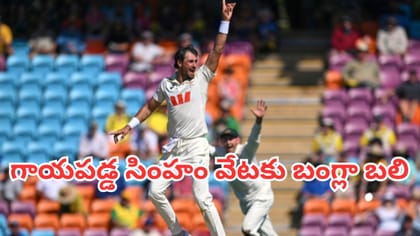 గాయపడిన సింహం వేటకు బంగ్లా బలి
