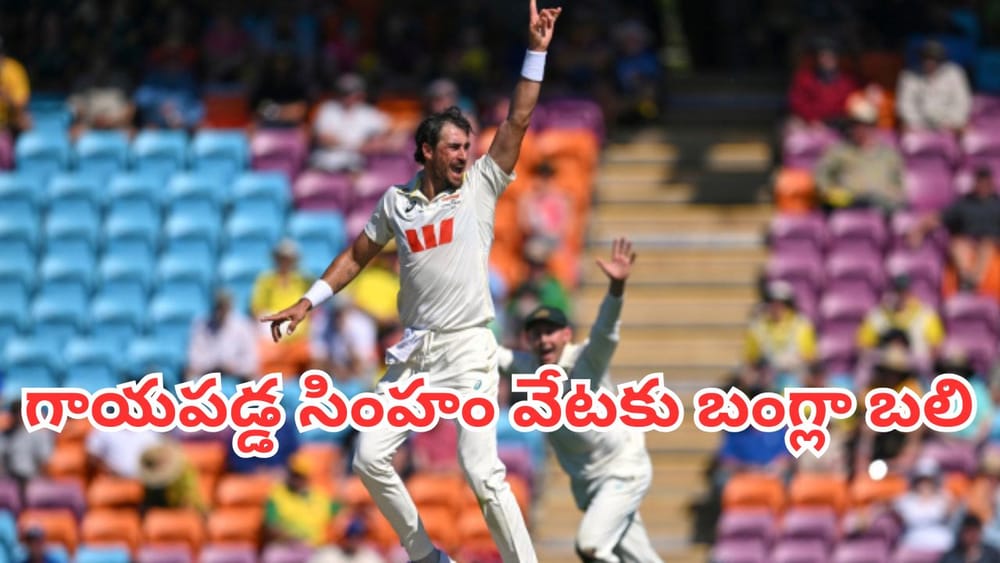 AUS vs BAN: గాయపడిన సింహం వేటకు బంగ్లా బలి.. 64 పరుగులకే మడతపెట్టేశారు