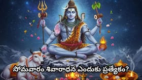 సోమవారం శివుడిని పూజించి ఈ వస్తువులు దానం చేయండి.. చంద్ర దోషం..