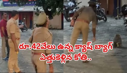 రూ.42వేలు ఉన్న క్యాష్‌ బ్యాగ్‌ ఎత్తుకెళ్లిన కోతి..ఏం చేసిందంటే..