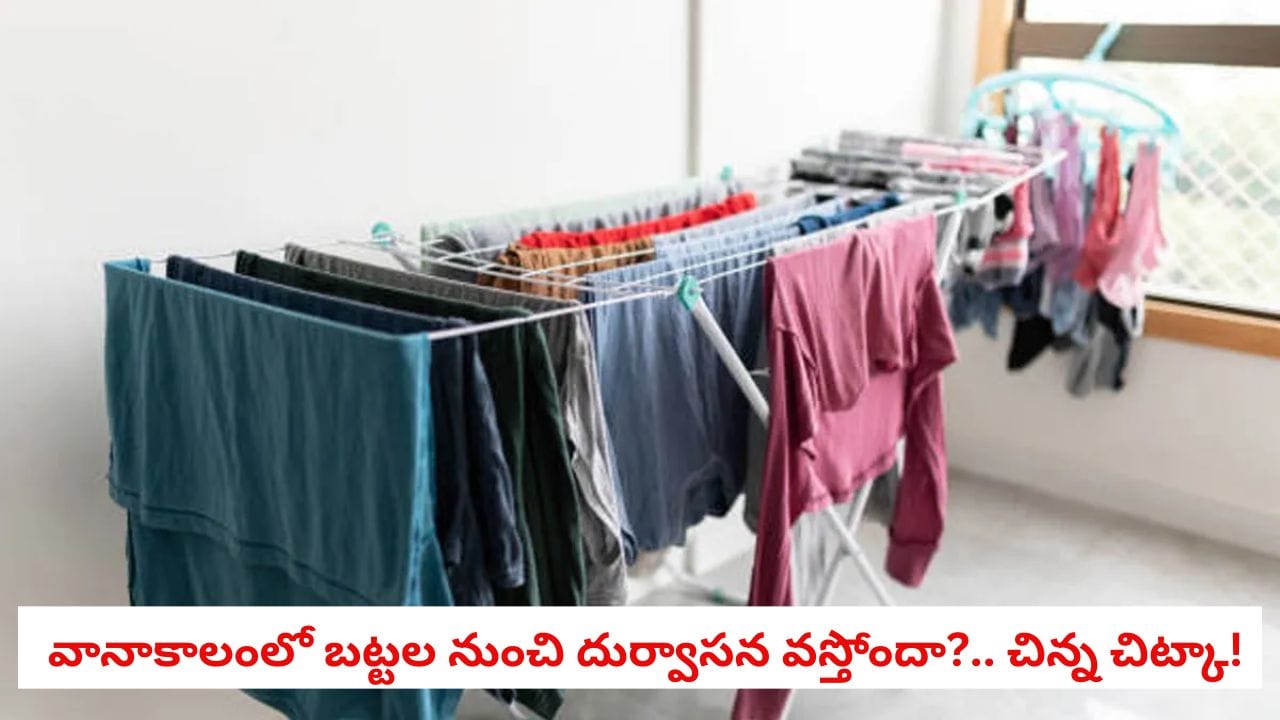వానాకాలంలో బట్టలు ఆరడం లేదని బాధపడుతున్నారా?.. తడి వాసన రాకుండా ఇలా చేస్తే సరిపోతుంది!