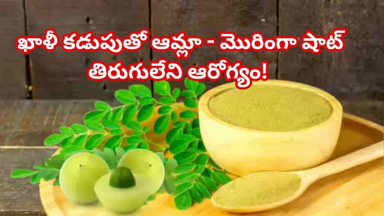 పరగడుపున మునగాకు, ఉసిరి షాట్తో తిరుగులేని ఆరోగ్యం మీ సొంతం..శాస్త్రీయంగా నిరూపితమైన ప్రయోజనాలు!