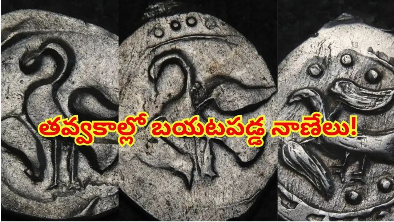 600 ఏళ్ల నాటి అరుదైన నిధి లభ్యం.. తవ్వకాల్లో బయటపడ్డ 2,600 నాణేలు!