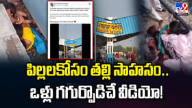 పిల్లలకోసం తల్లి సాహసం.. ఒళ్లు గగుర్పొడిచే వీడియో!