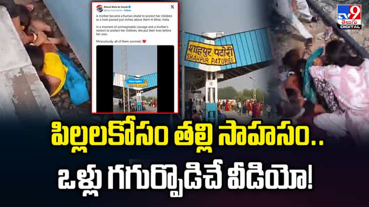 పిల్లలకోసం తల్లి సాహసం.. ఒళ్లు గగుర్పొడిచే వీడియో! పిల్లలకోసం తల్లి సాహసం.. ఒళ్లు గగుర్పొడిచే వీడియో!
