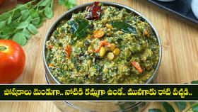 పోషకాలు మెండుగా.. నోటికి కమ్మగా ఉండే.. మునగాకు రోటి పచ్చడి..