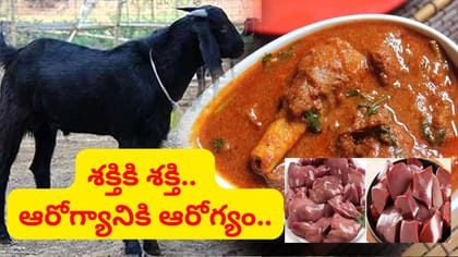 మటన్‌లోని ప్రతీ పార్టూ పవర్‌ఫులే మావ.. ఇక ఆ రోగాల ముచ్చటే ఉండదు..