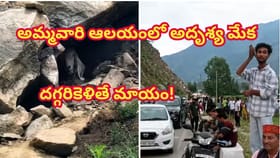 అమ్మవారి ఆలయంలో అదృశ్య మేక ప్రత్యక్షం..దగ్గరికెళితే మాయం!