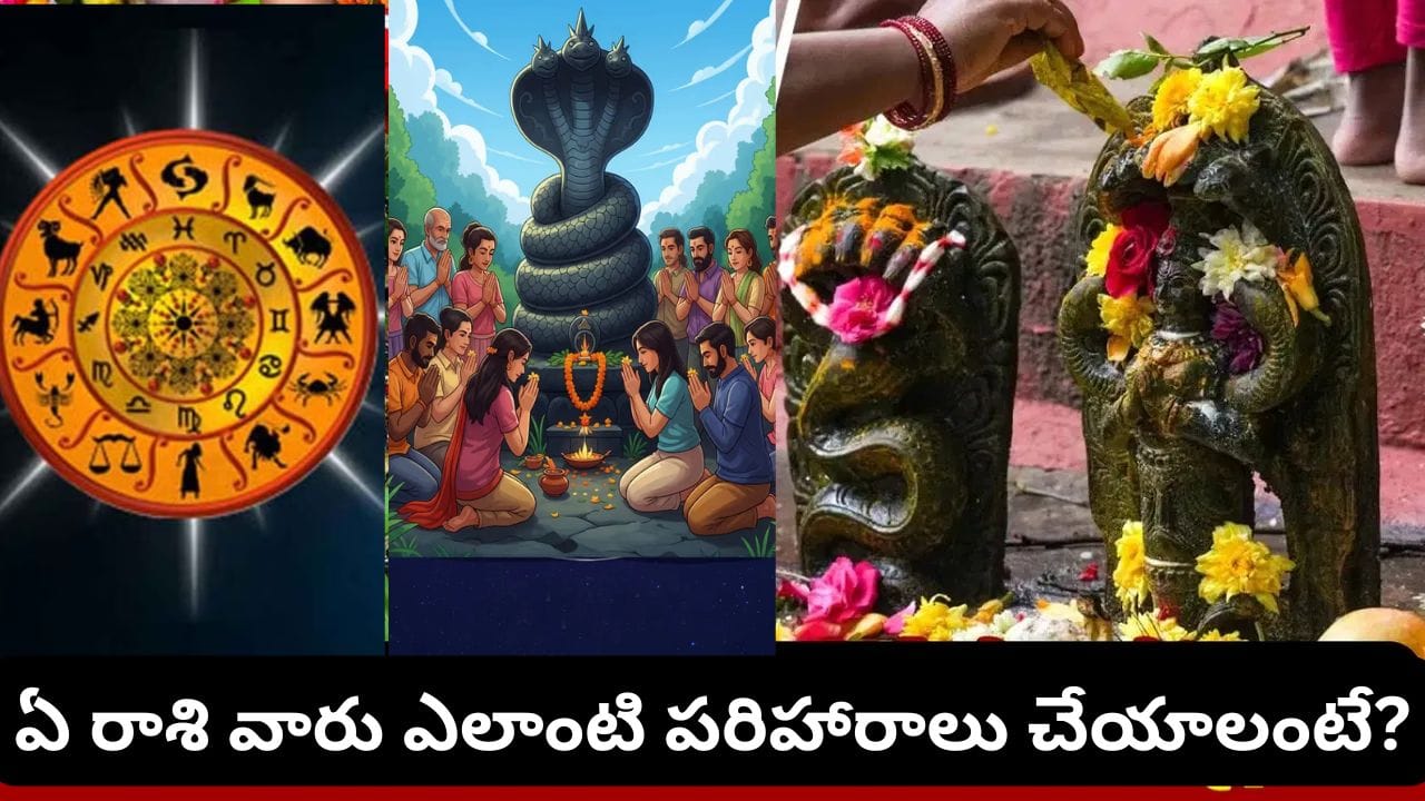 Naga Panchami: నాగ పంచమి.. మీ రాశి ప్రకారం ఈ పరిహారాలు పాటించండి.. శుభఫలితాలు కలుగుతాయట!