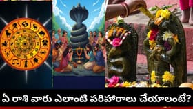 నాగ పంచమి.. మీ రాశి ప్రకారం ఈ పరిహారాలు పాటించండి.. శుభఫలితాలు..