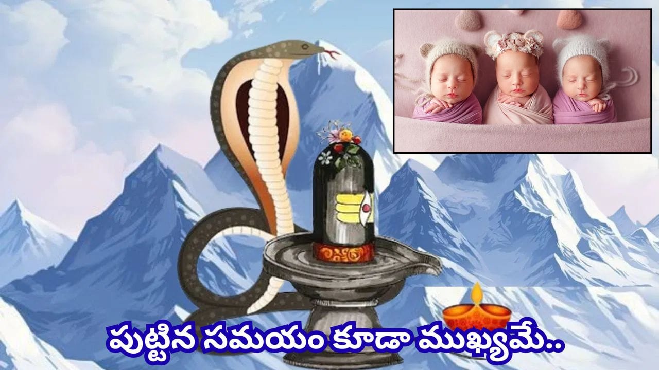 నాగ పంచమి నాడు పుట్టారా? మీ పిల్లల స్వభావం, ప్రత్యేక లక్షణాలు ఎలా ఉంటాయో తెలుసా?
