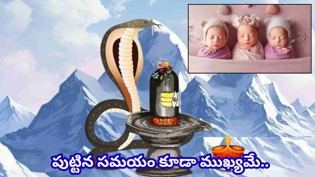 నాగ పంచమి నాడు పుట్టారా? మీ పిల్లల స్వభావం, ప్రత్యేక లక్షణాలు ఎలా ఉంటాయో తెలుసా?