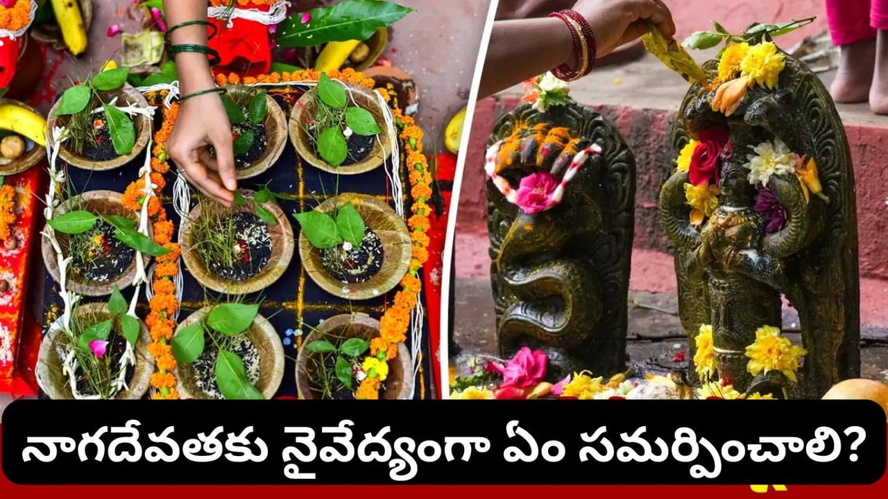 Naga Panchami: నాగ పంచమి ఎప్పుడు..? ఇంట్లోనే పూజ ఎలా చేయాలి? శుభ సమయం, పూజా విధానం ఇవే!