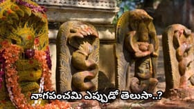 నాగ పంచమి రోజున చేయాల్సినవి.. చేయకూడనివి ఇవే! నాగదేవత పూజా విధానం