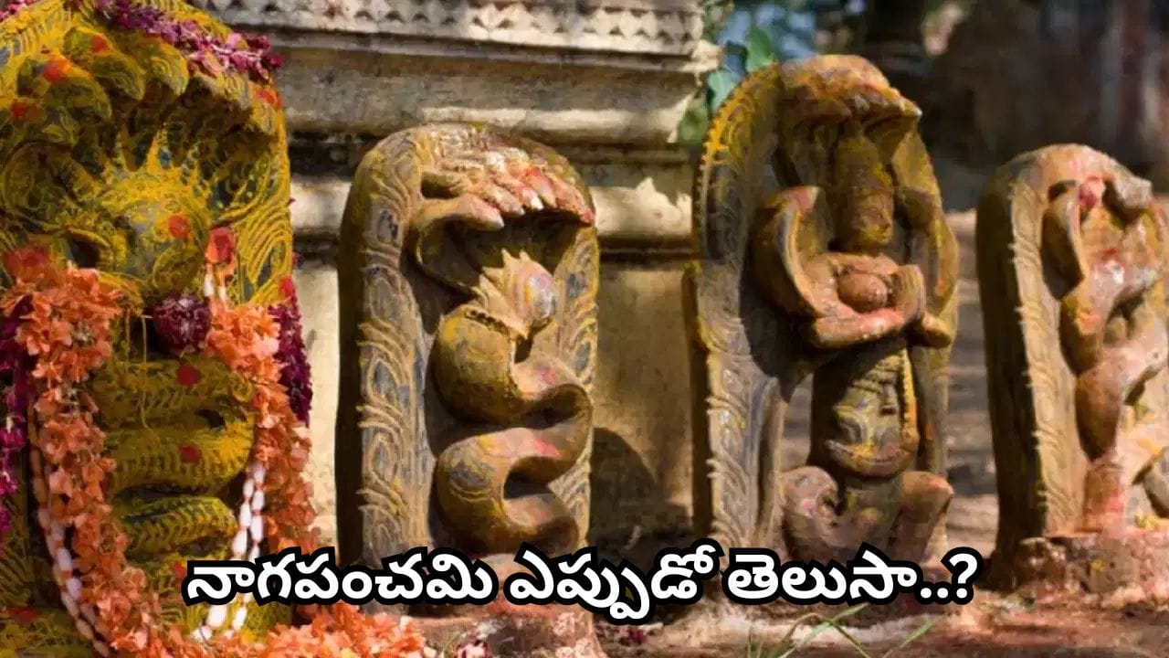 Nag Panchami 2026: నాగ పంచమి రోజున చేయాల్సినవి.. చేయకూడనివి ఇవే! నాగదేవత పూజా విధానం తెలుసుకోండి