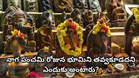 నాగ పంచమి నాడు పెనం, కడాయి ఎందుకు ఉపయోగించరు? ఈ పనులు చేస్తే..