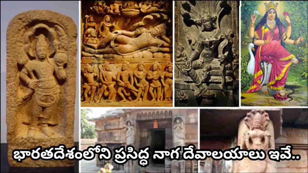 నాగ పంచమి వేళ తప్పక దర్శించాల్సిన 6 నాగ దేవాలయాలు.. ఒక్కో ఆలయానికి ఒక్కో ప్రత్యేకత!