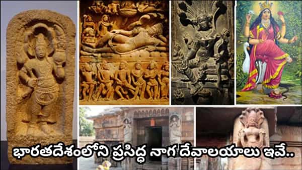 నాగ పంచమి వేళ తప్పక దర్శించాల్సిన 6 నాగ దేవాలయాలు.. ఒక్కో ఆలయానికి ఒక్కో ప్రత్యేకత!