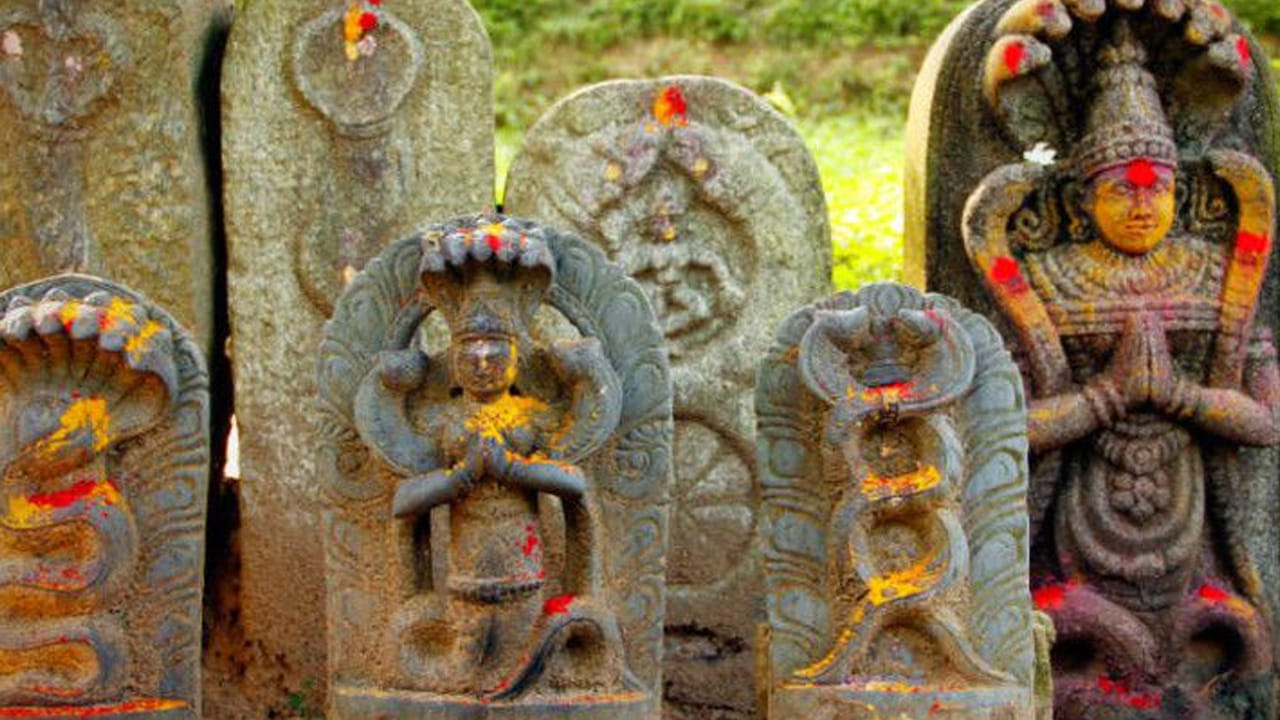 
ఈ పండుగ ముఖ్య ఉద్దేశం ఏంటంటే. కాలసర్ప దోషాలు నుంచి బయటపడాలంటే ఇదొక మార్గం అని చెప్పొచ్చు. ఈ నాగ పంచమి ఈ రోజున నాగదేవతను  పూజించాలి. ఇంకా మీరు భయంకర అనారోగ్య సమస్యల నుంచి కూడా ఉపశమనం పొందుతారు. ఆ పూజలు ఏ సమయంలో చేస్తే మీకు ఫలితం వస్తుందో ఇక్కడ చూద్దాం.. 
