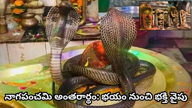 నాగపంచమి ఎందుకు జరుపుకుంటారు? పూజా విధానం, ప్రాముఖ్యత తెలుసా?