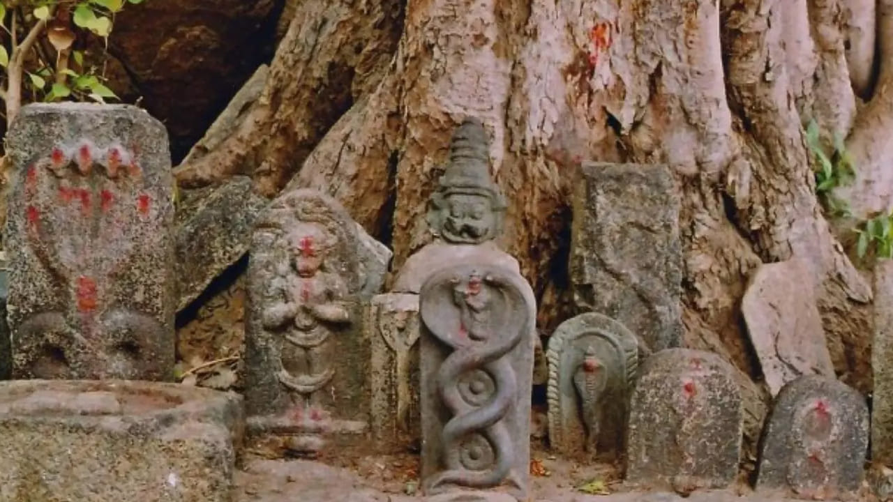 పూజా విధానం : గుడికి వెళ్ళలేని వాళ్ళు  ఇంట్లోనే  ఈ పూజ చేసుకోవచ్చు. ముందుగా ఆ రోజు ఉదయాన్నే లేచి తలస్నానం చేయాలి. ఇంటిని , దేవుడి గదిని శుద్ధి చేసుకోవాలి.  ఆ తరువాత ఒక చిన్న పీట వేసి, దానిపై ఒక వస్త్రాన్ని పరిచి నాగదేవత విగ్రహాన్ని పెట్టుకోవాలి. మీరు మనసులో శివయ్యను, నాగదేవతను స్మరిస్తూ పూజ చేయాలి. పసుపు, కుంకుమ, పువ్వులతో నాగదేవతను పూజించాలి.