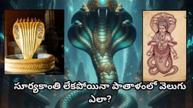 నాగలోకం నిజంగా ఉందా? పురాణాల్లో వర్ణించిన సర్పరాజుల రహస్య ప్రపంచం