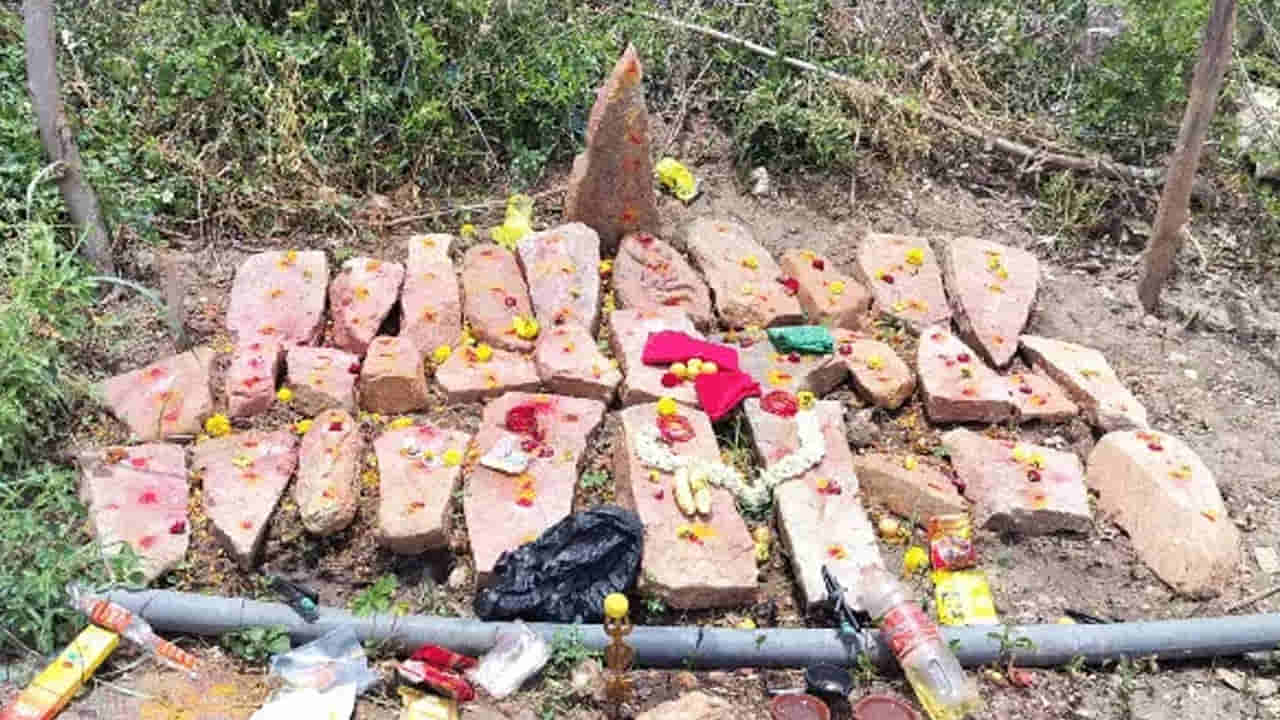 Andhra: భూమిని చదును చేస్తుండగా బయపడ్డవి చూసి.. ఆశ్చర్యపోయిన రైతు..