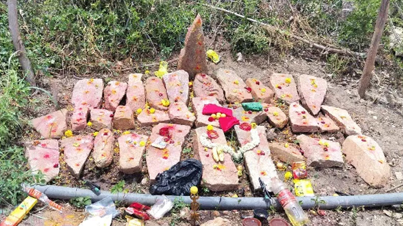 Andhra: భూమిని చదును చేస్తుండగా బయపడ్డవి చూసి.. ఆశ్చర్యపోయిన రైతు..
