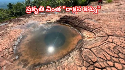 వింతల్లో కెల్లా వింత.. 