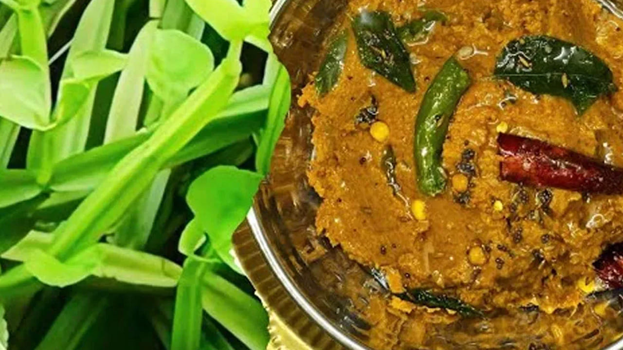 కావాల్సిన పదార్థాలు: నల్లేరు కాడలు, నాలుగు టీ స్పూన్స్ ఆయిల్, 150 గ్రాములు పచ్చిమిర్చి, మూడు టమాటాలు , 10 వెల్లుల్లి రెబ్బలు, రెండు ఉల్లిపాయలు, 100 గ్రాములు చింతపండు, ఒక టీ స్పూన్ కారం, రుచికి తగినంత ఉప్పు, అర టీ స్పూన్ ఆవాలు , అర టేబుల్ స్పూన్ 5 ఎండు మిర్చి, నాలుగు కరివేపాకులు ఆకులు తీసుకోవాలి.